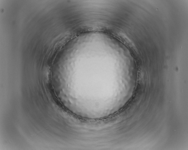 X0000088020026200705251103