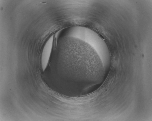 X0000088020027200705251103