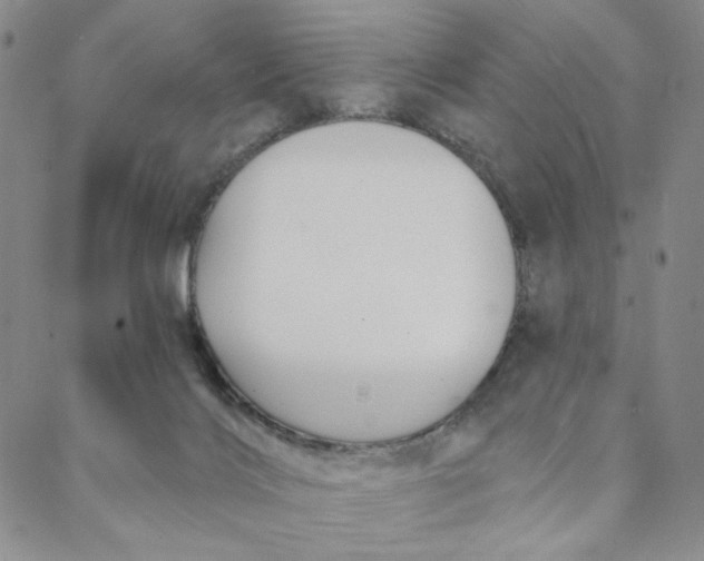 X0000088020028200705251103