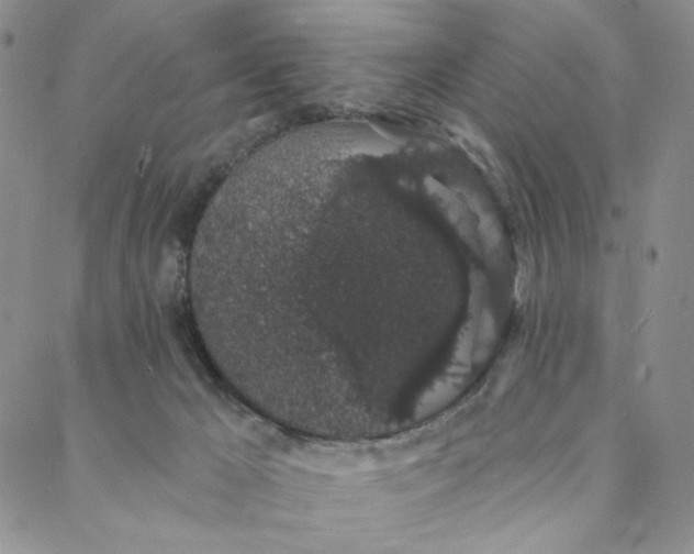 X0000088020029200705251103