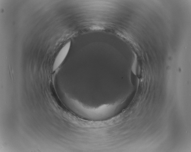 X0000088020031200705251103