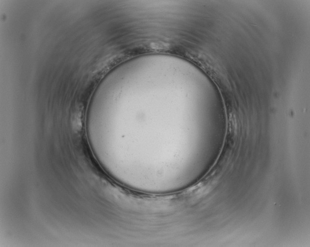 X0000088020032200705251103