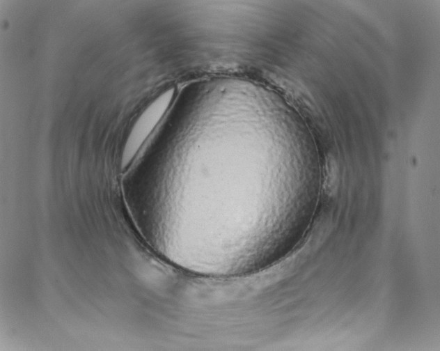 X0000088020033200705251103