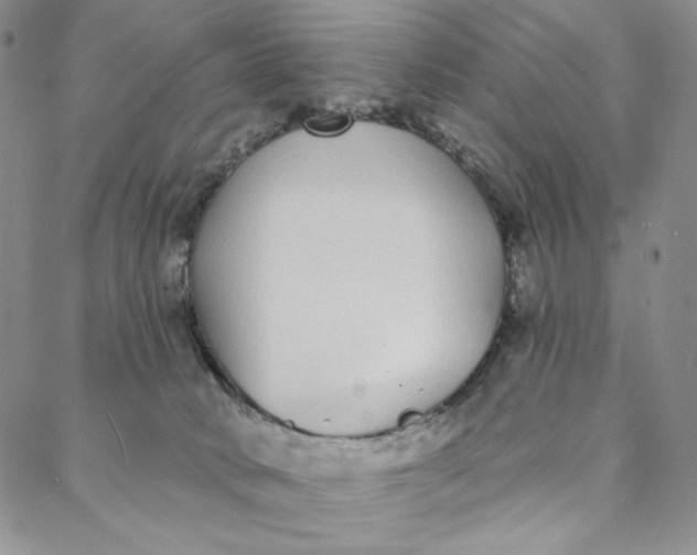 X0000088020034200705251103