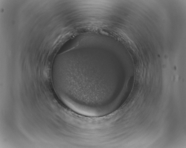 X0000088020035200705251103