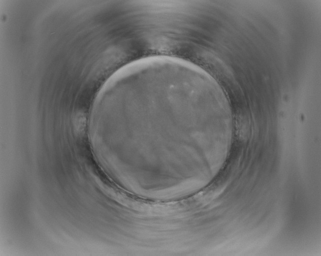 X0000088020036200705251102