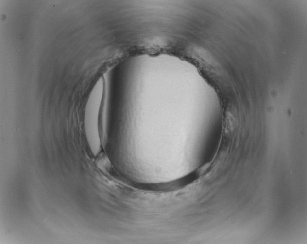 X0000088020037200705251102