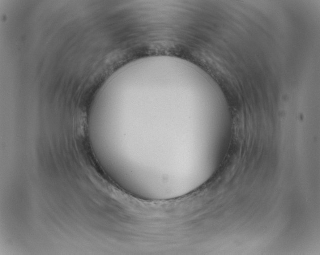 X0000088020038200705251102