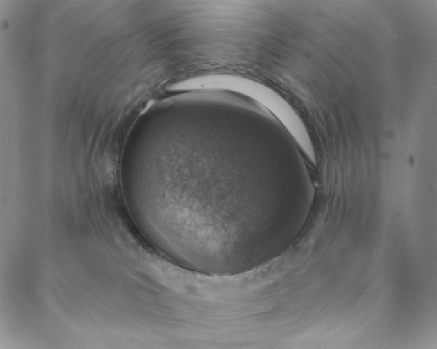 X0000088020039200705251102