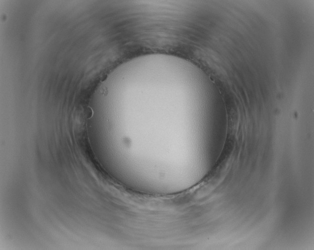 X0000088020040200705251102