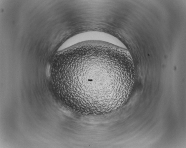 X0000088020041200705251102