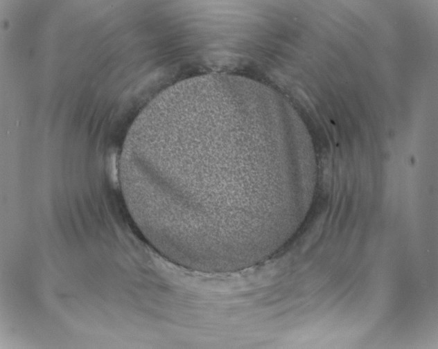 X0000088020042200705251102