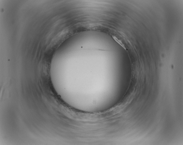 X0000088020044200705251102