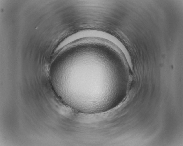 X0000088020045200705251102