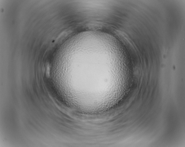 X0000088020046200705251102