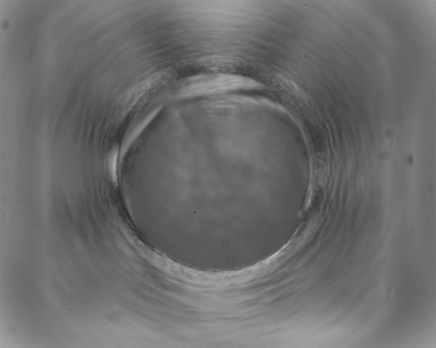 X0000088020047200705251102