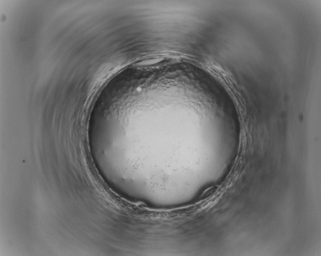 X0000088020049200705251102