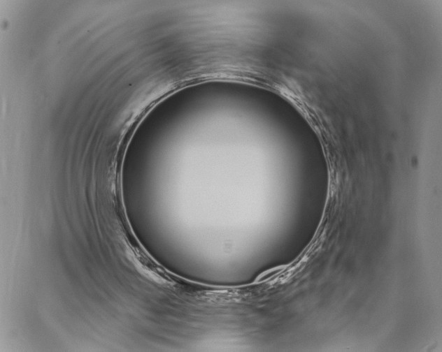 X0000088020050200705251102