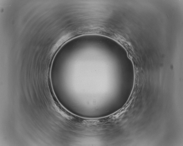 X0000088020051200705251102