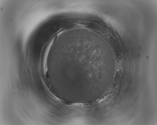 X0000088020052200705251102