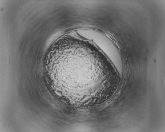 X0000088020053200705251102