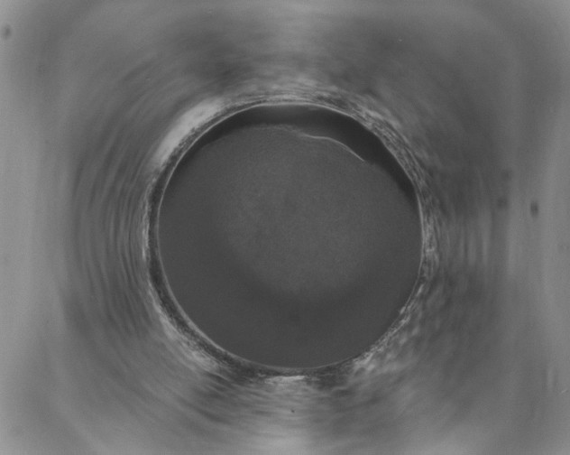 X0000088020054200705251102