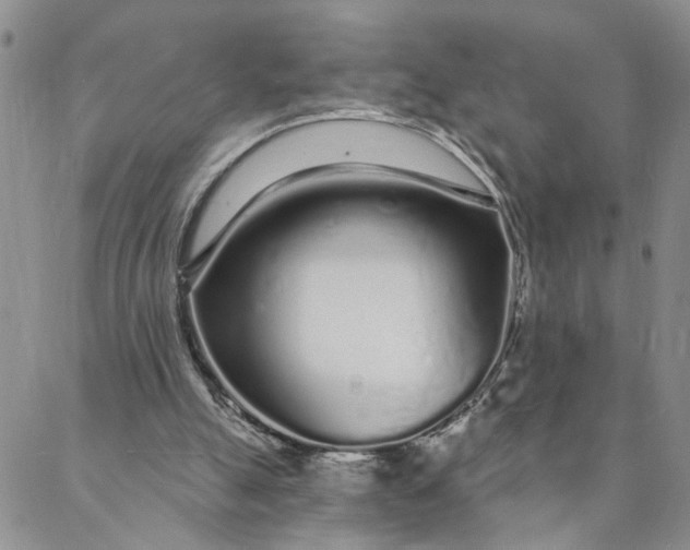 X0000088020055200705251102