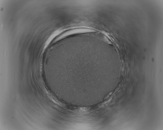 X0000088020056200705251102