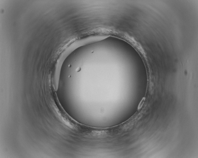 X0000088020057200705251102