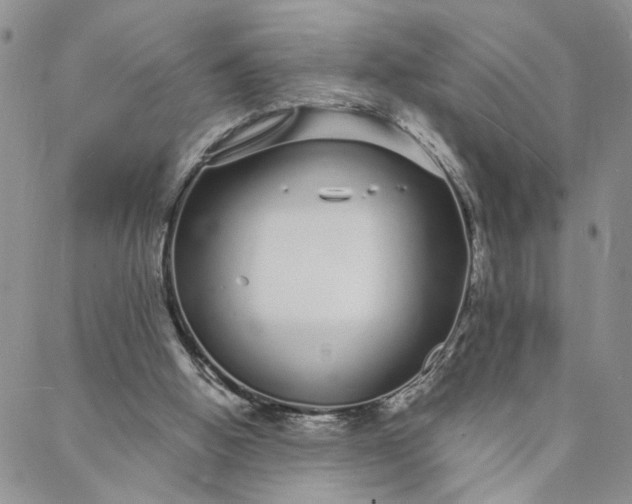 X0000088020058200705251102