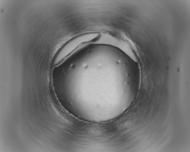 X0000088020059200705251102