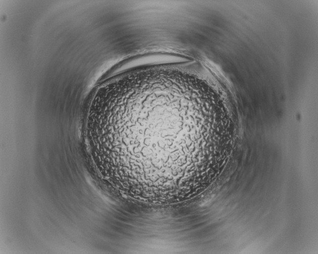 X0000088020060200705251102