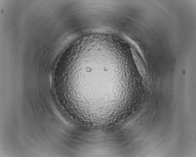 X0000088020061200705251102