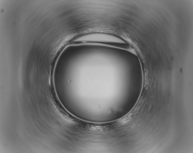 X0000088020062200705251102