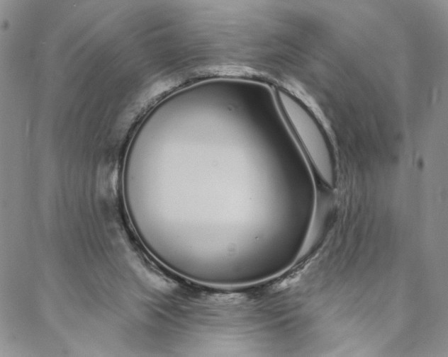 X0000088020063200705251102