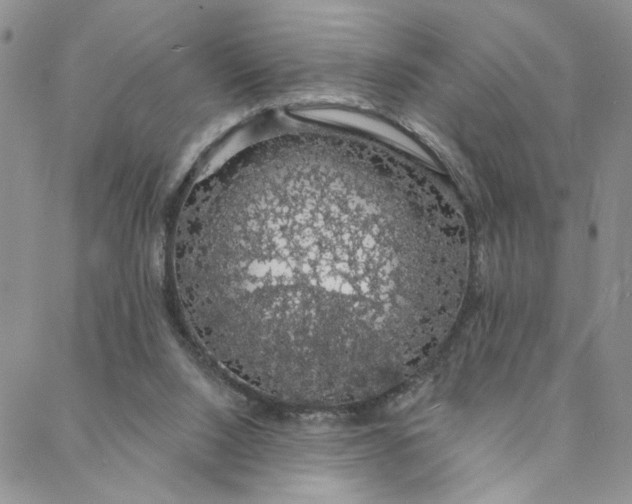 X0000088020064200705251102