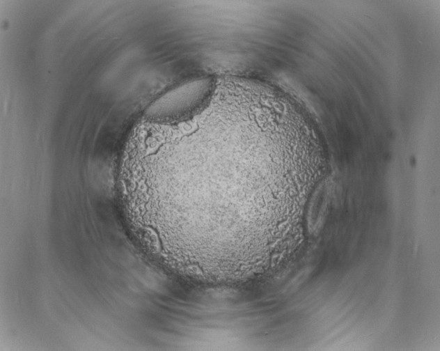 X0000088020065200705251102