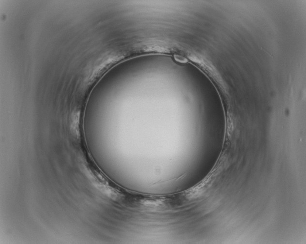 X0000088020066200705251102