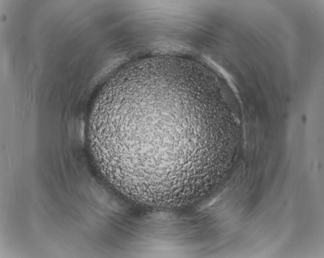 X0000088020067200705251102