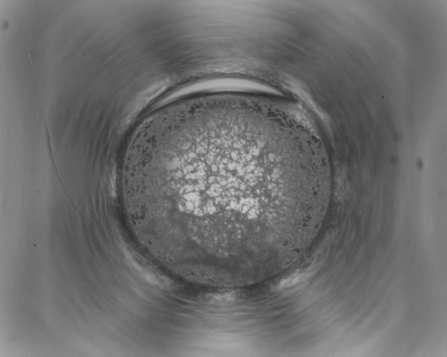 X0000088020068200705251102