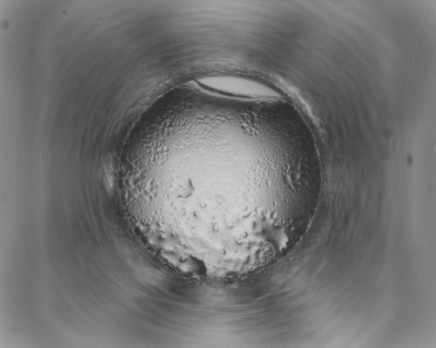 X0000088020069200705251102