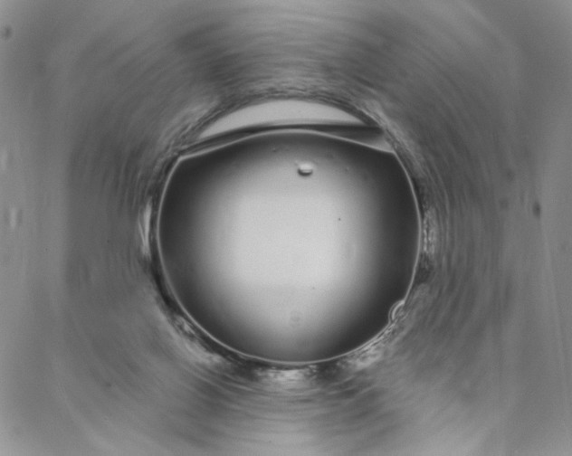 X0000088020070200705251102