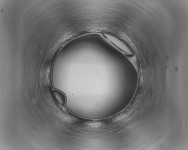 X0000088020071200705251102