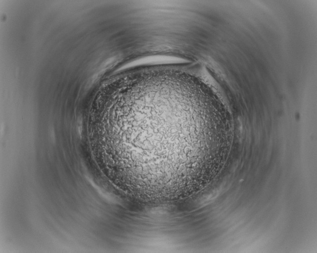 X0000088020072200705251102