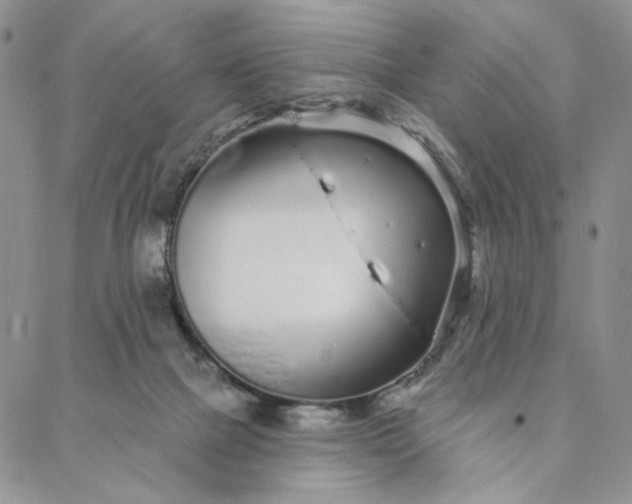 X0000088020073200705251102