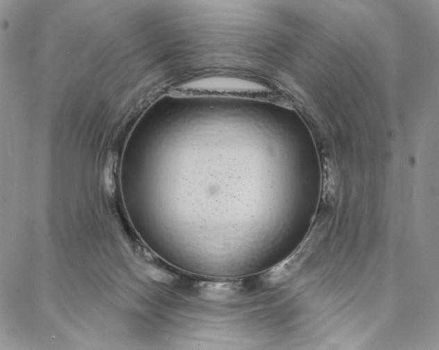 X0000088020074200705251102