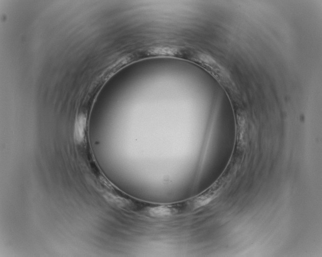 X0000088020075200705251102