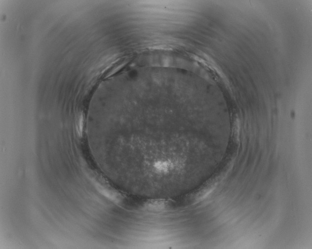 X0000088020076200705251102