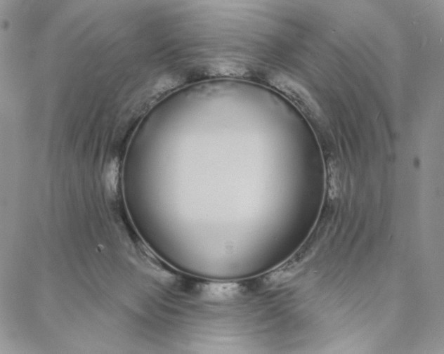 X0000088020077200705251102