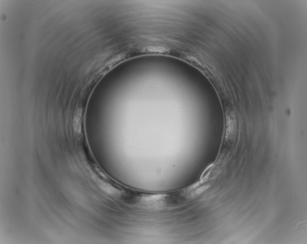 X0000088020078200705251102